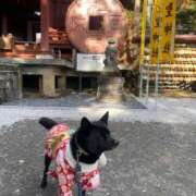 ヒメ日記 2025/11/26 21:01 投稿 天海　はるか エンジェルコースト