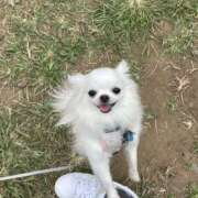 ヒメ日記 2025/11/28 07:08 投稿 天海　はるか エンジェルコースト