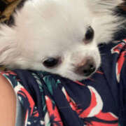 ヒメ日記 2025/11/28 13:20 投稿 天海　はるか エンジェルコースト