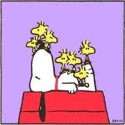 ヒメ日記 2025/11/30 19:35 投稿 天海　はるか エンジェルコースト