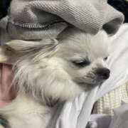 ヒメ日記 2025/12/01 07:34 投稿 天海　はるか エンジェルコースト