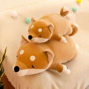 ヒメ日記 2025/12/01 22:25 投稿 天海　はるか エンジェルコースト