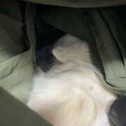 ヒメ日記 2025/12/02 07:51 投稿 天海　はるか エンジェルコースト