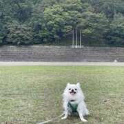 ヒメ日記 2025/12/04 11:06 投稿 天海　はるか エンジェルコースト