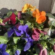 ヒメ日記 2025/12/06 14:12 投稿 天海　はるか エンジェルコースト