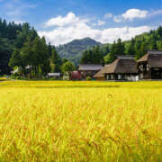 天海　はるか 今日は何の日♬.*ﾟ エンジェルコースト