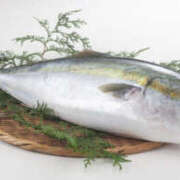 ヒメ日記 2025/12/20 07:25 投稿 天海　はるか エンジェルコースト