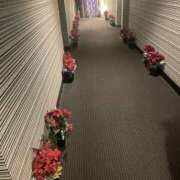 ヒメ日記 2025/12/21 14:14 投稿 天海　はるか エンジェルコースト