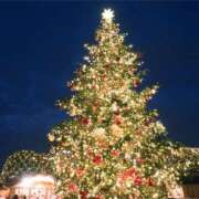 ヒメ日記 2025/12/24 07:18 投稿 天海　はるか エンジェルコースト