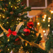 ヒメ日記 2025/12/25 07:25 投稿 天海　はるか エンジェルコースト