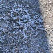 ヒメ日記 2026/01/03 13:19 投稿 天海　はるか エンジェルコースト