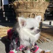 ヒメ日記 2026/01/04 11:41 投稿 天海　はるか エンジェルコースト