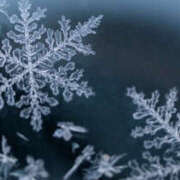 ヒメ日記 2026/02/06 09:41 投稿 天海　はるか エンジェルコースト