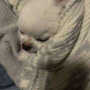 ヒメ日記 2026/02/11 11:20 投稿 天海　はるか エンジェルコースト