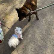 ヒメ日記 2026/02/23 15:50 投稿 天海　はるか エンジェルコースト