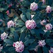 ヒメ日記 2026/02/26 08:22 投稿 天海　はるか エンジェルコースト