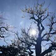 ヒメ日記 2026/02/27 09:10 投稿 天海　はるか エンジェルコースト