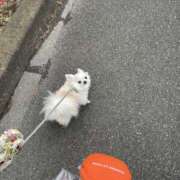 ヒメ日記 2026/02/27 17:25 投稿 天海　はるか エンジェルコースト