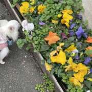 ヒメ日記 2026/03/02 10:33 投稿 天海　はるか エンジェルコースト