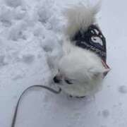 ヒメ日記 2026/03/02 16:10 投稿 天海　はるか エンジェルコースト