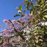 ヒメ日記 2026/03/04 11:08 投稿 天海　はるか エンジェルコースト