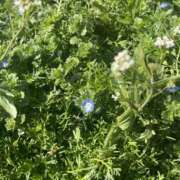 ヒメ日記 2026/03/05 17:35 投稿 天海　はるか エンジェルコースト