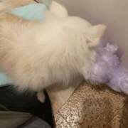 ヒメ日記 2026/03/11 19:33 投稿 天海　はるか エンジェルコースト