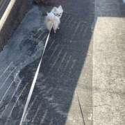 ヒメ日記 2026/03/12 10:43 投稿 天海　はるか エンジェルコースト