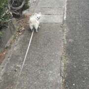 ヒメ日記 2026/03/13 15:13 投稿 天海　はるか エンジェルコースト