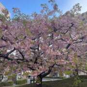 ヒメ日記 2026/03/16 16:22 投稿 天海　はるか エンジェルコースト