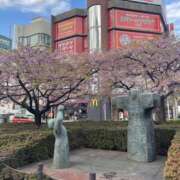 ヒメ日記 2026/03/17 08:29 投稿 天海　はるか エンジェルコースト