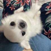 ヒメ日記 2026/03/19 09:06 投稿 天海　はるか エンジェルコースト