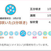 ヒメ日記 2026/03/29 08:22 投稿 天海　はるか エンジェルコースト