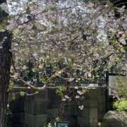 ヒメ日記 2026/03/30 13:46 投稿 天海　はるか エンジェルコースト