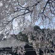 ヒメ日記 2026/03/31 18:48 投稿 天海　はるか エンジェルコースト