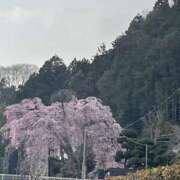 ヒメ日記 2026/04/01 10:08 投稿 天海　はるか エンジェルコースト