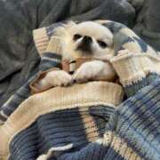 ヒメ日記 2026/04/02 14:54 投稿 天海　はるか エンジェルコースト