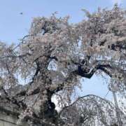 ヒメ日記 2026/04/02 19:25 投稿 天海　はるか エンジェルコースト