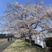 ヒメ日記 2026/04/03 11:38 投稿 天海　はるか エンジェルコースト