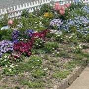 ヒメ日記 2026/04/04 16:51 投稿 天海　はるか エンジェルコースト