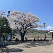 ヒメ日記 2026/04/05 18:53 投稿 天海　はるか エンジェルコースト