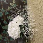 ヒメ日記 2026/04/11 23:33 投稿 天海　はるか エンジェルコースト