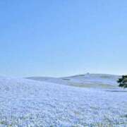 ヒメ日記 2026/04/13 07:03 投稿 天海　はるか エンジェルコースト