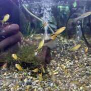 ヒメ日記 2026/04/16 16:06 投稿 天海　はるか エンジェルコースト