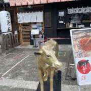 ヒメ日記 2026/07/30 21:25 投稿 天海　はるか エンジェルコースト