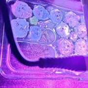 ヒメ日記 2025/10/24 02:28 投稿 片野利江 五十路マダムエクスプレス神戸店(カサブランカグループ)