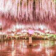 ヒメ日記 2025/04/29 06:38 投稿 みさお 熟女の風俗最終章 沼津店