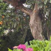 みさお みたよありがとうございます 熟女の風俗最終章 沼津店