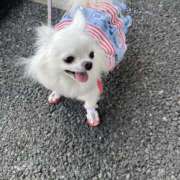 ヒメ日記 2025/04/22 08:33 投稿 高木　はるか 八王子だョ！変態集合