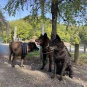 ヒメ日記 2025/04/22 12:19 投稿 高木　はるか 八王子だョ！変態集合